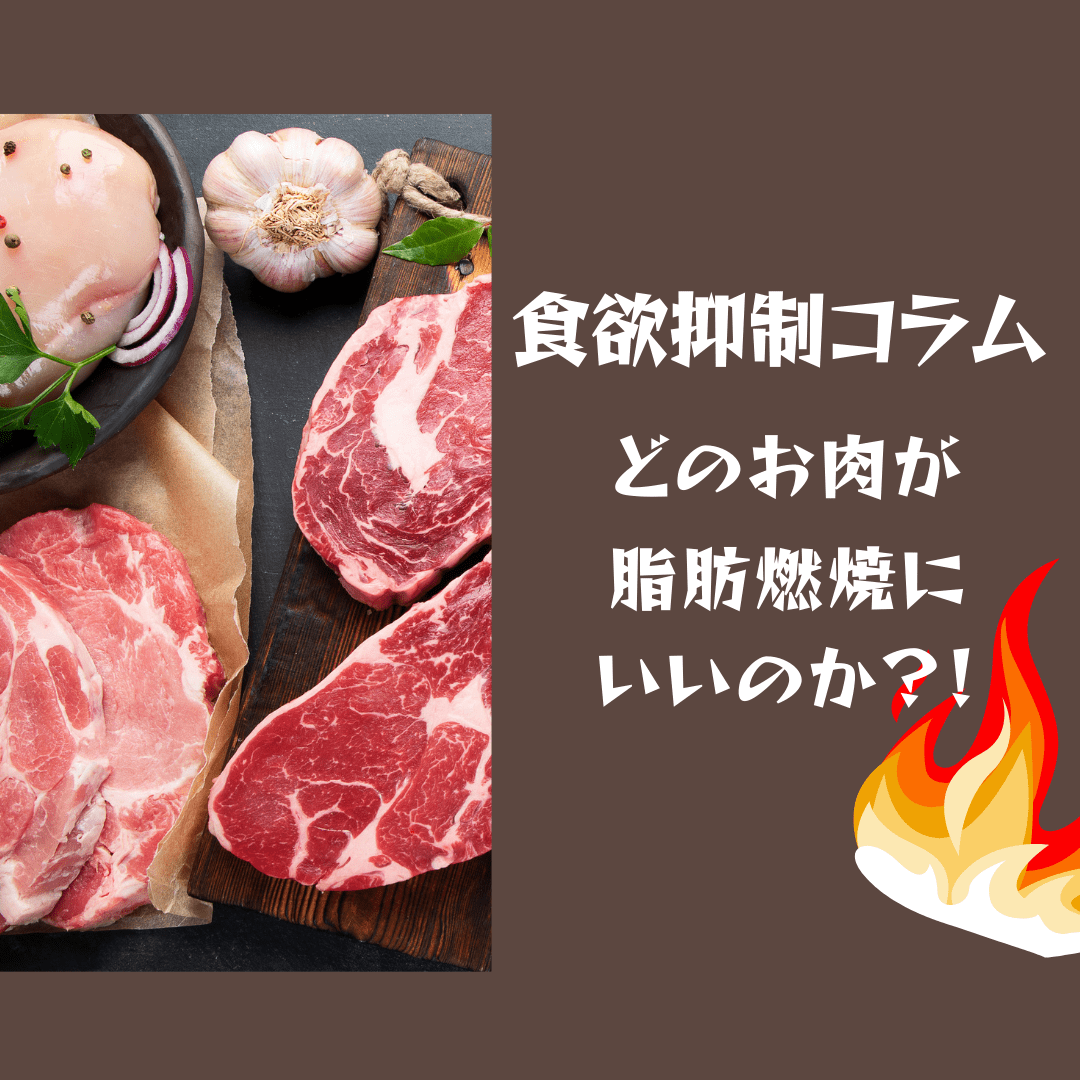 おいしく食べて脂肪燃焼したいなら、L-カルニチン豊富な羊肉で