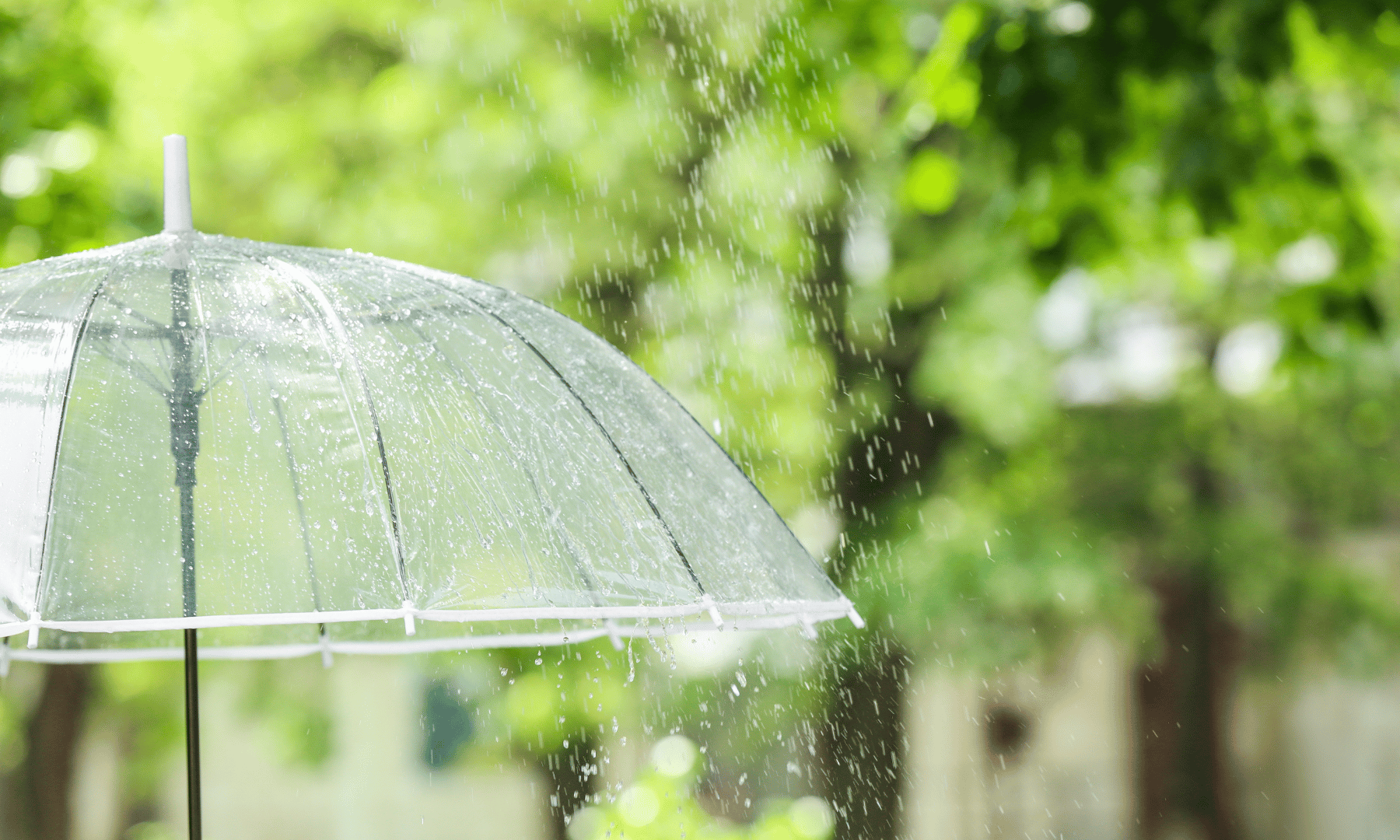 その不調「梅雨だる」かも？ 不調を防ぐ「湿度対策＆自律神経リセット術」